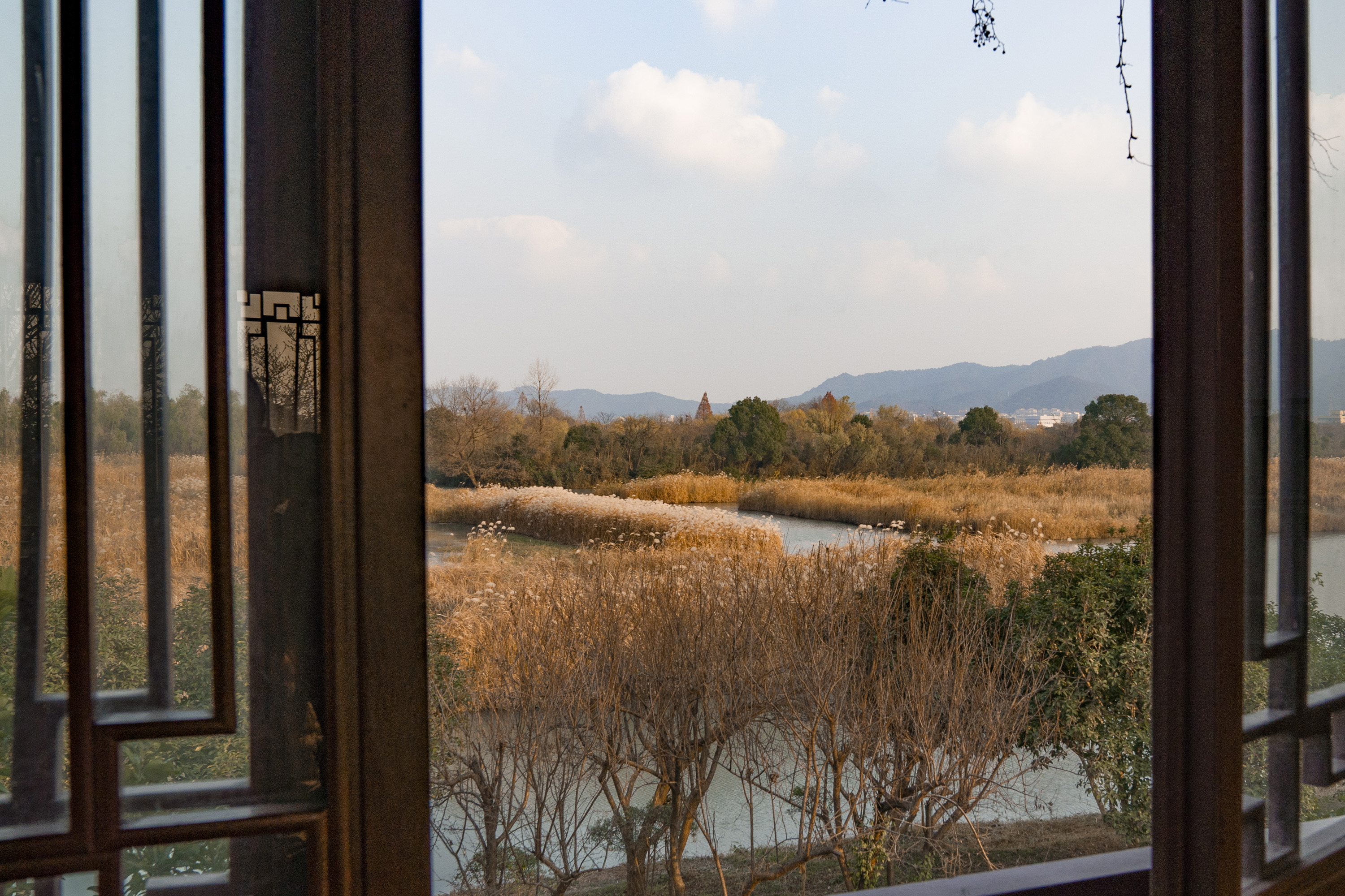杭州周家村·在西溪湿地坐摇橹船看芦苇荡